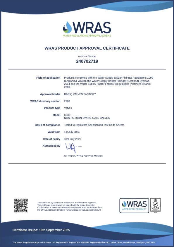 C300 Swing Check Valve certificate