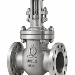 B7300 Cast Steel Gate Valve – ASME Class 300